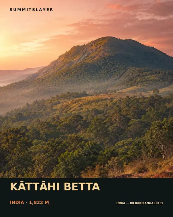 Kāttāhi Betta T-shirt mockup